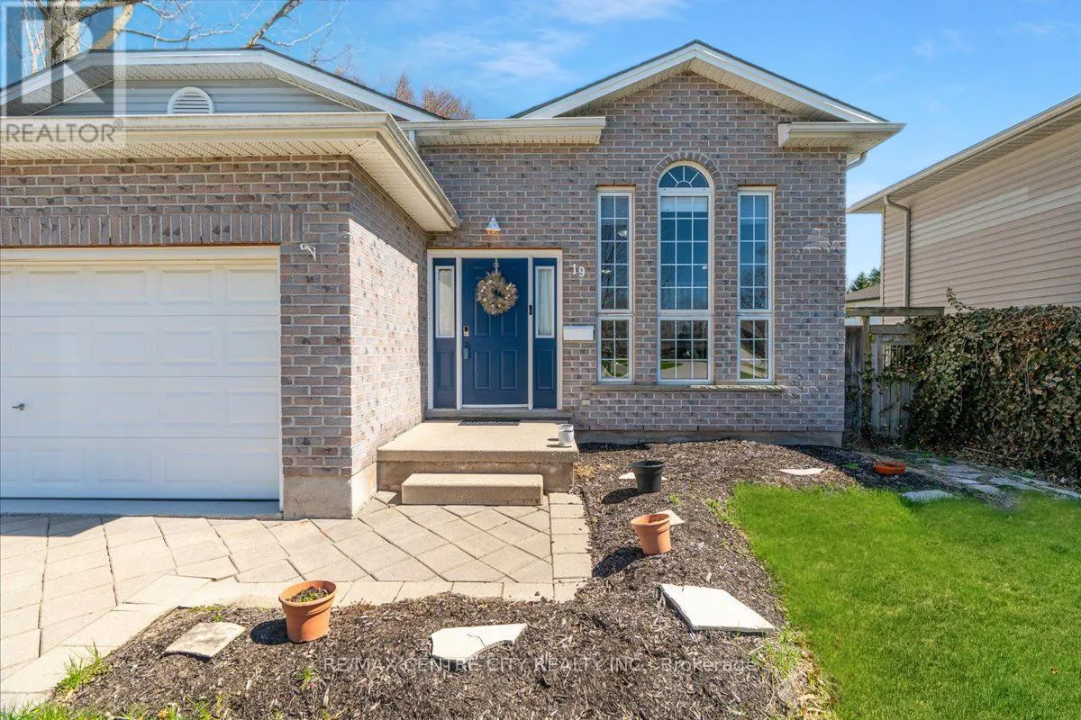 19 DELL DRIVE