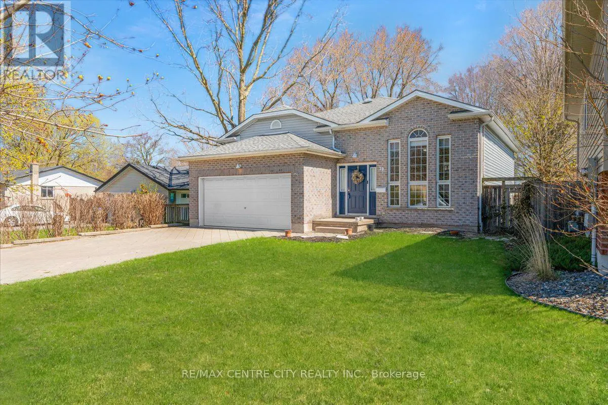 19 DELL DRIVE