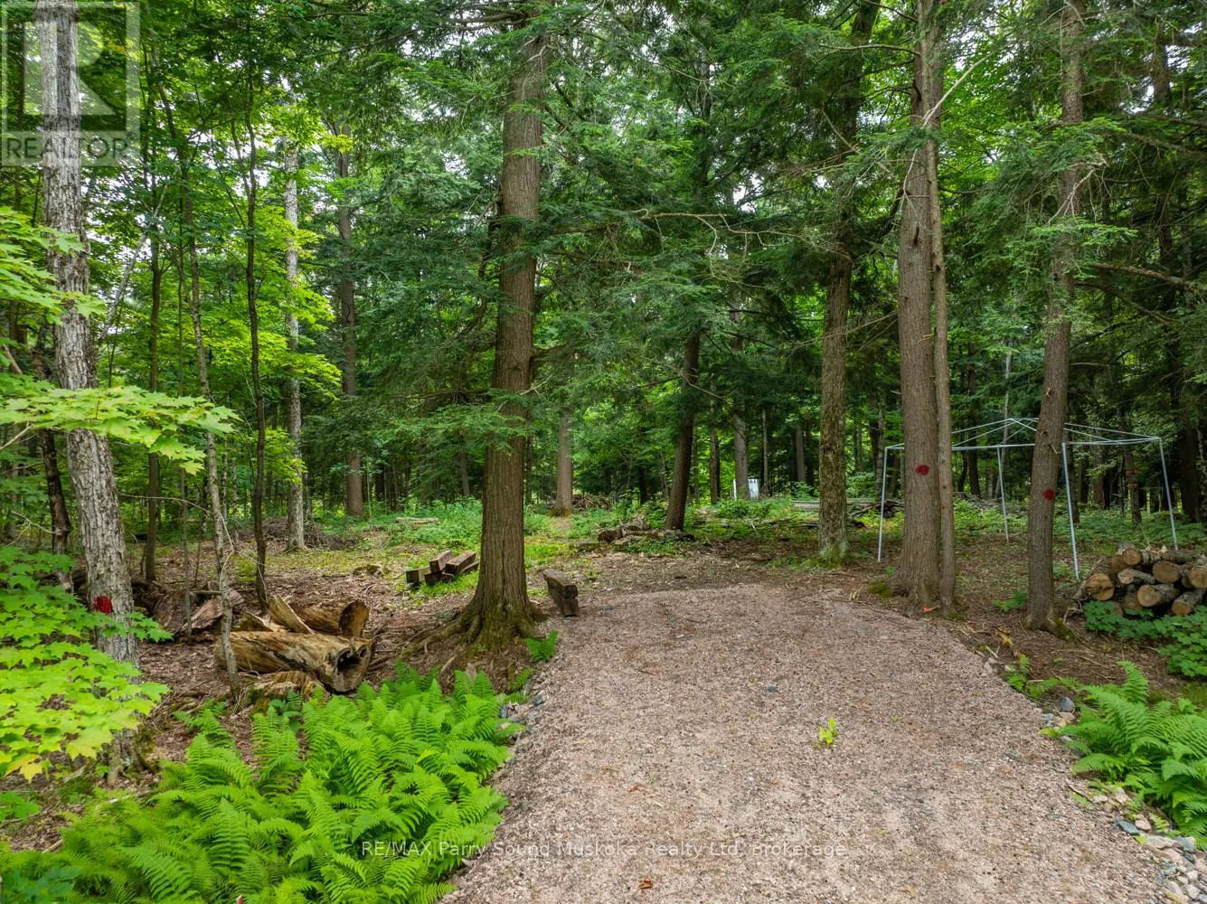 131 MOONWING ROAD