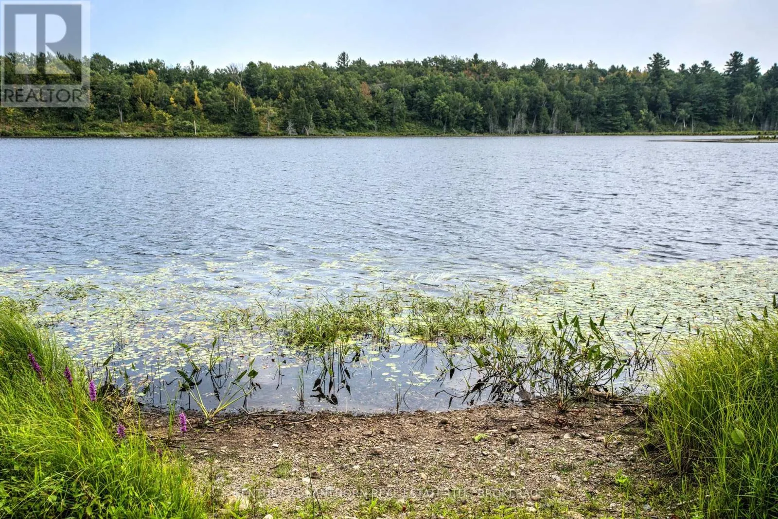 2905 COUNTY RD 15 ROAD