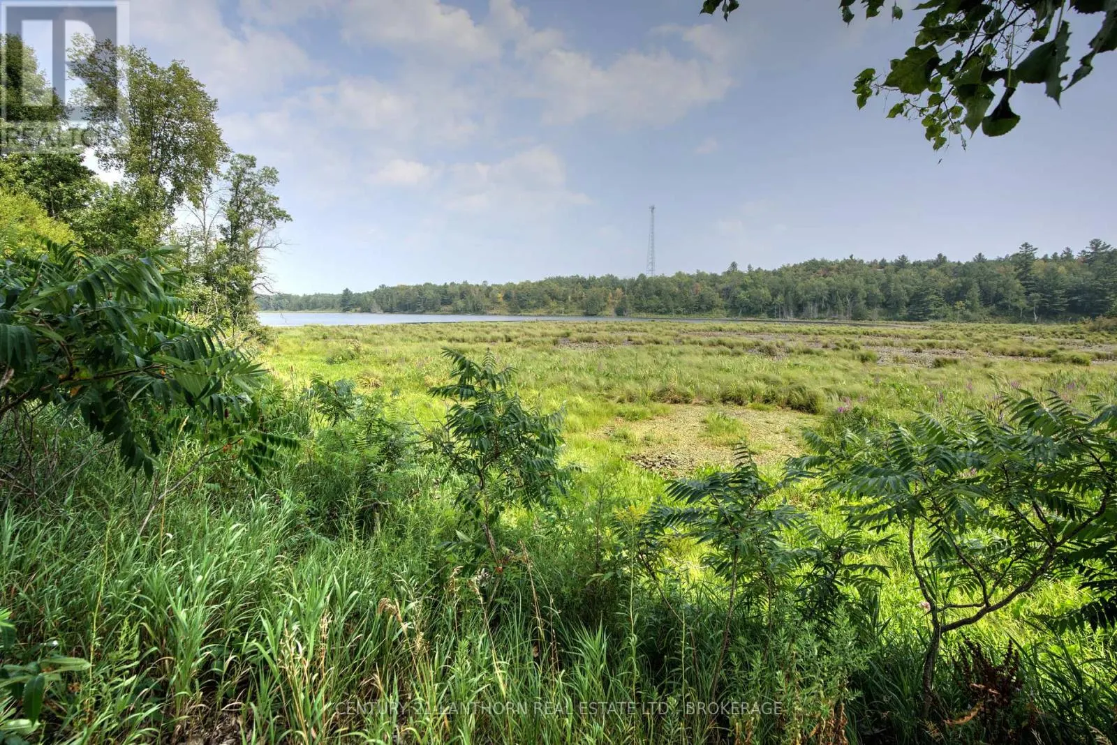 2905 COUNTY RD 15 ROAD