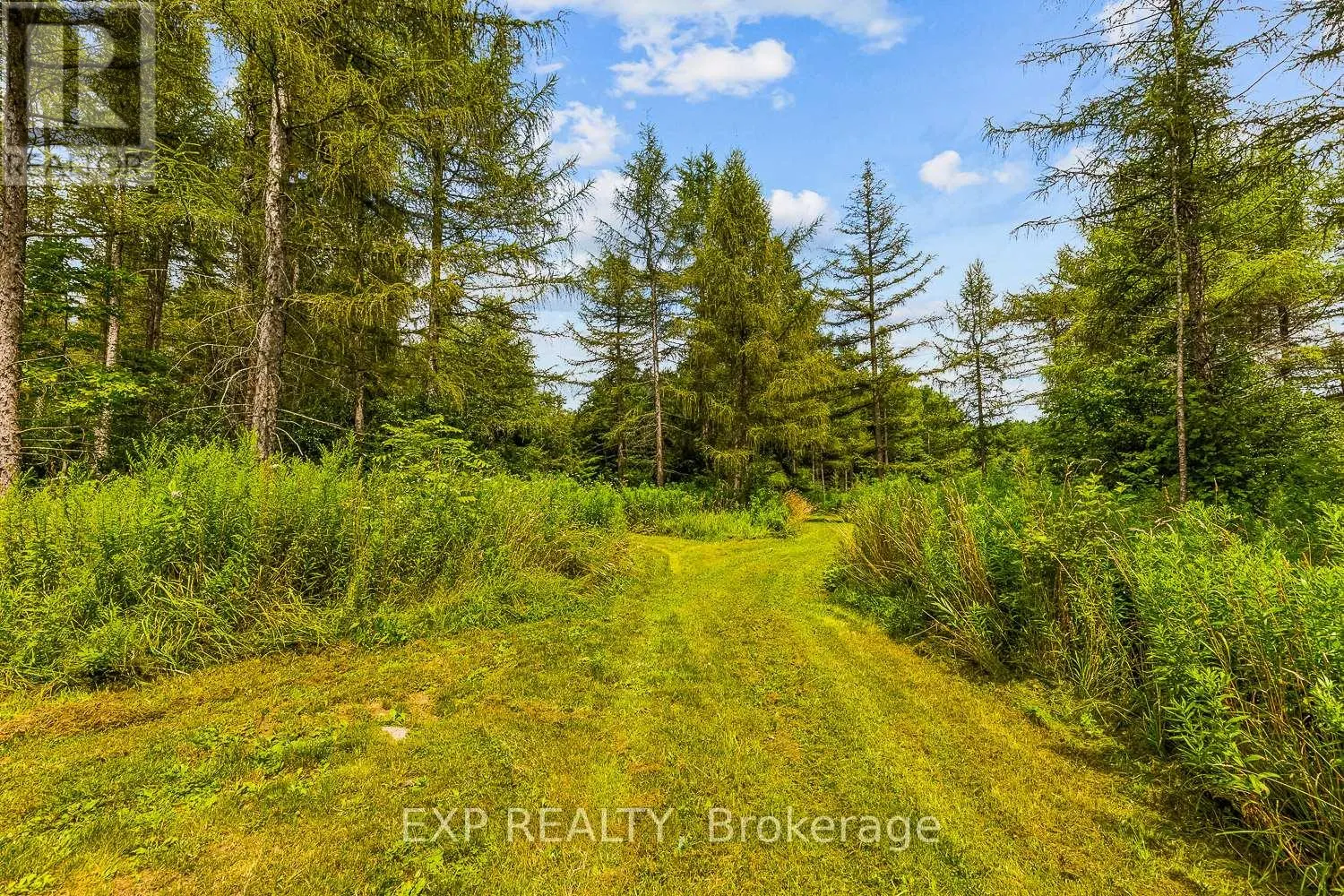 9307 SIDEROAD 9 SIDE ROAD