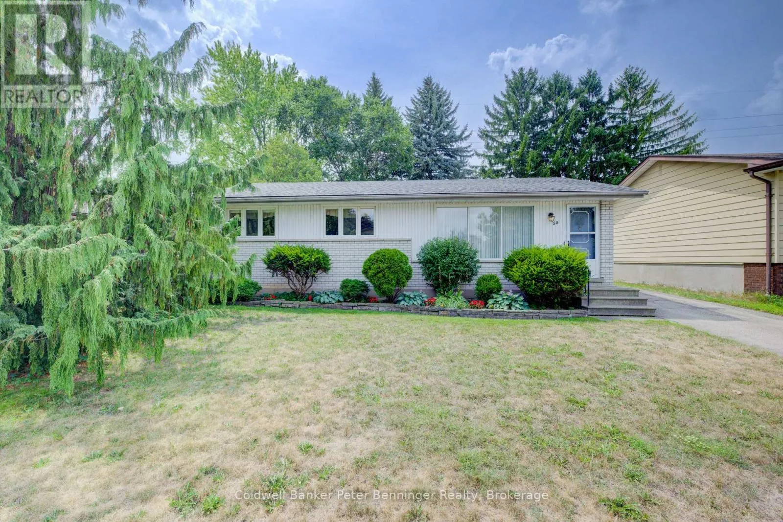55 DREGER AVENUE