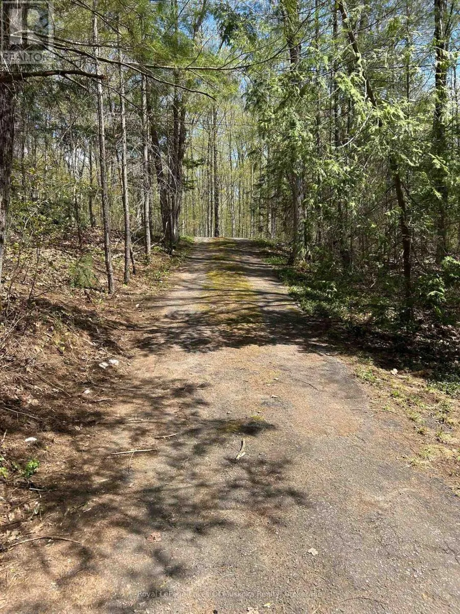 1091 NORTH TOOKE LAKE ROAD