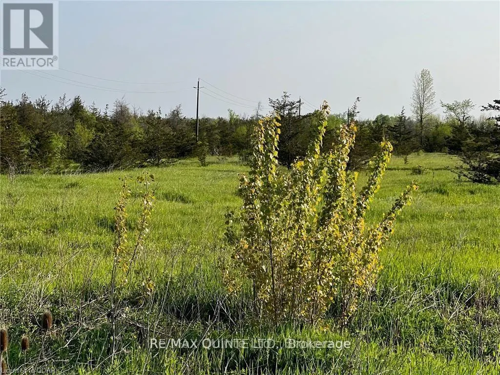 0 ROSSEAU CROSSROAD