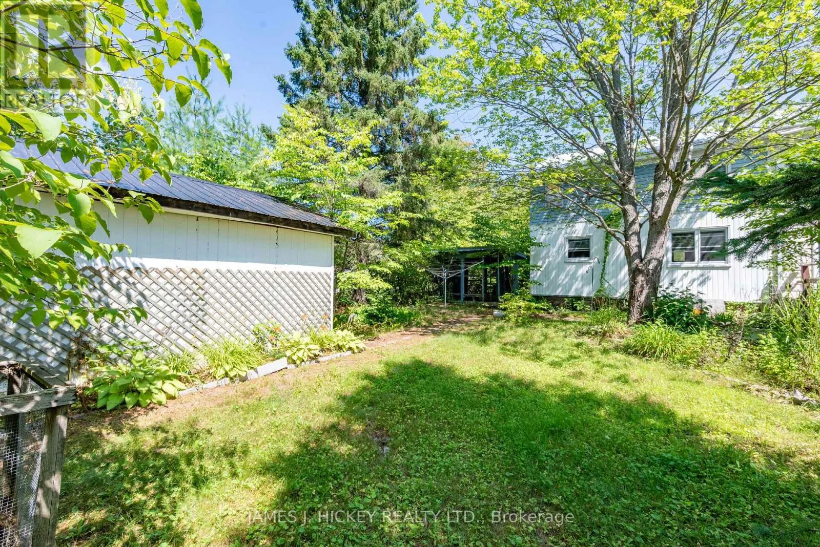 123 ALGONQUIN STREET