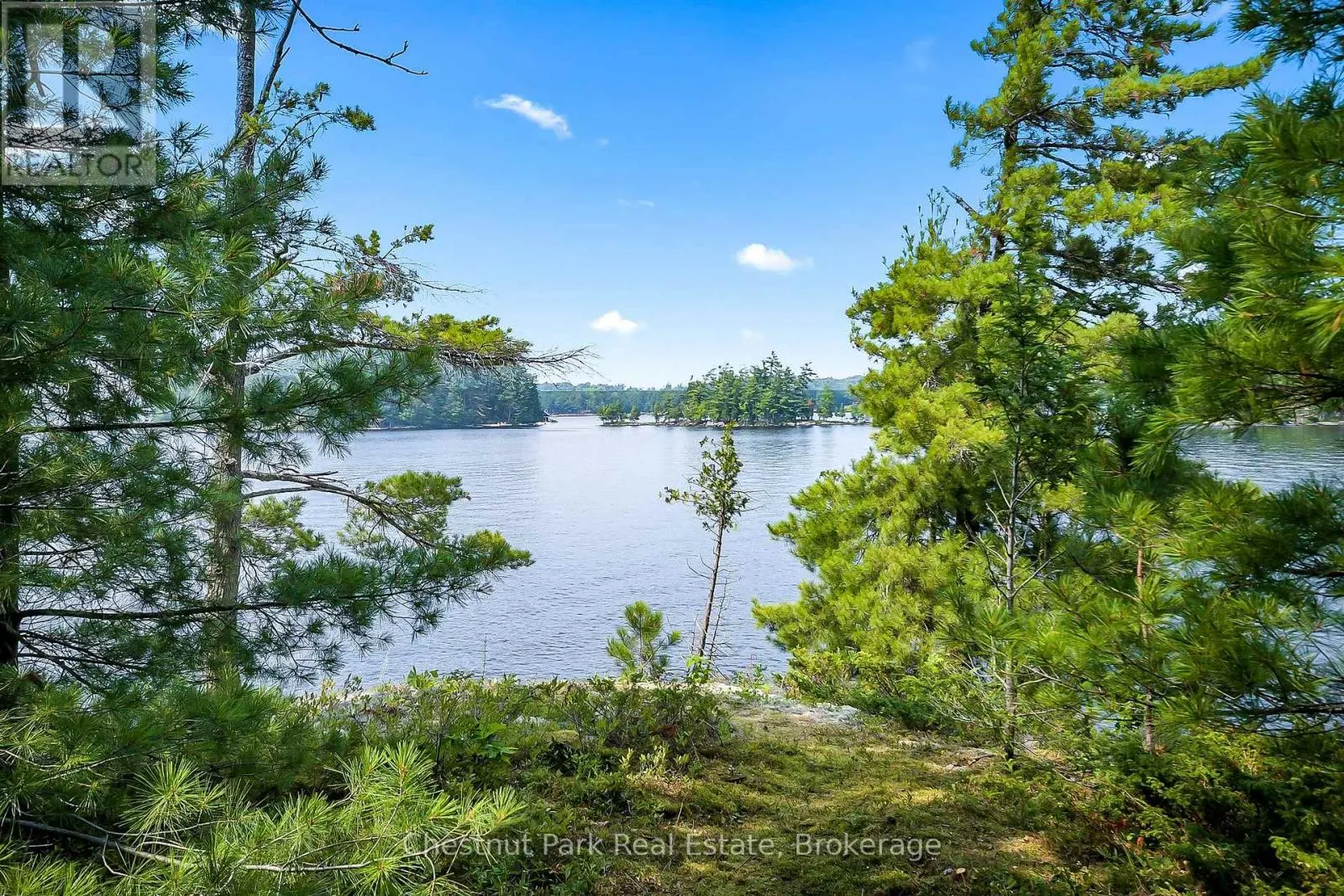1000 LITTLE BAXTER (AKA ROCKWOOD) ISLAND
