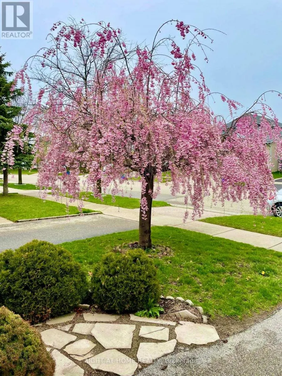 19 WINDFLOWER DRIVE