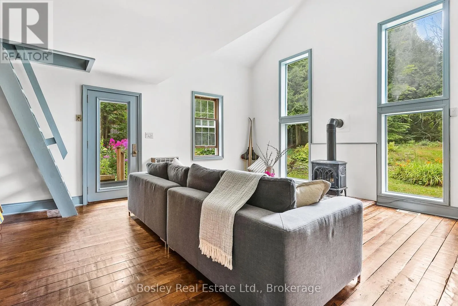355276 THE BLUE MOUNTAINS EUPHRASIA TOWNLINE