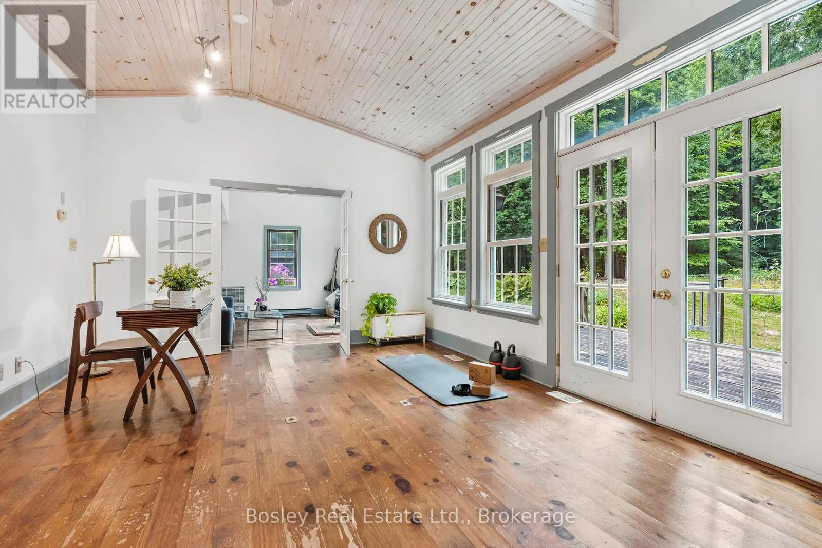 355276 THE BLUE MOUNTAINS EUPHRASIA TOWNLINE