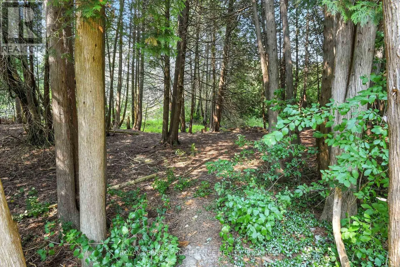 11 MILL POND COURT