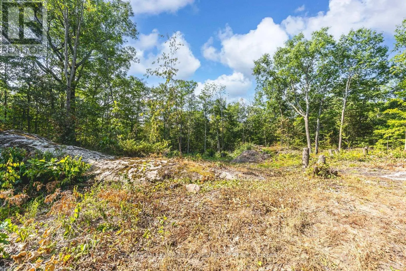 87 LOT A CORRIEVALE ROAD