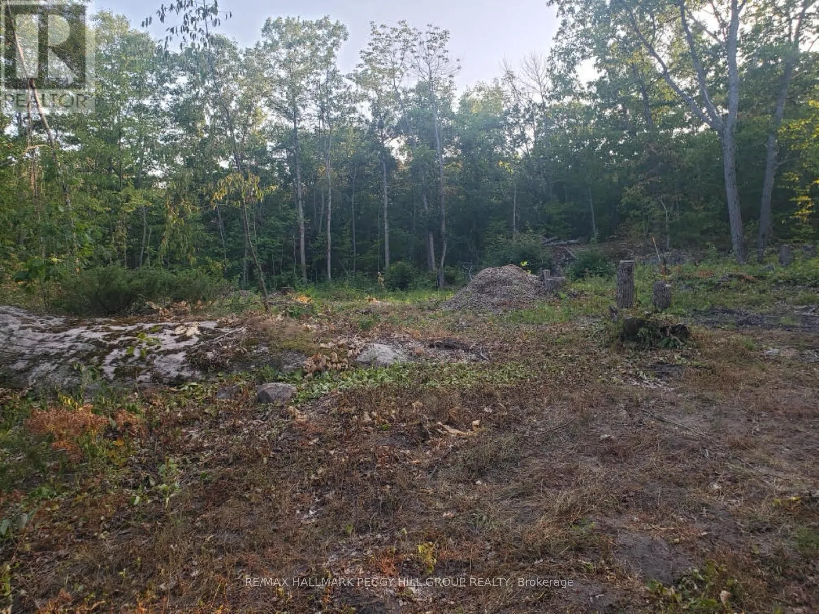 87 LOT A CORRIEVALE ROAD