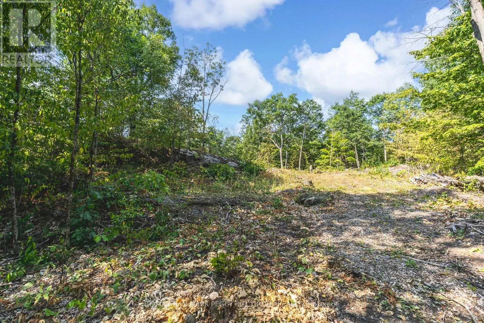87 LOT A CORRIEVALE ROAD