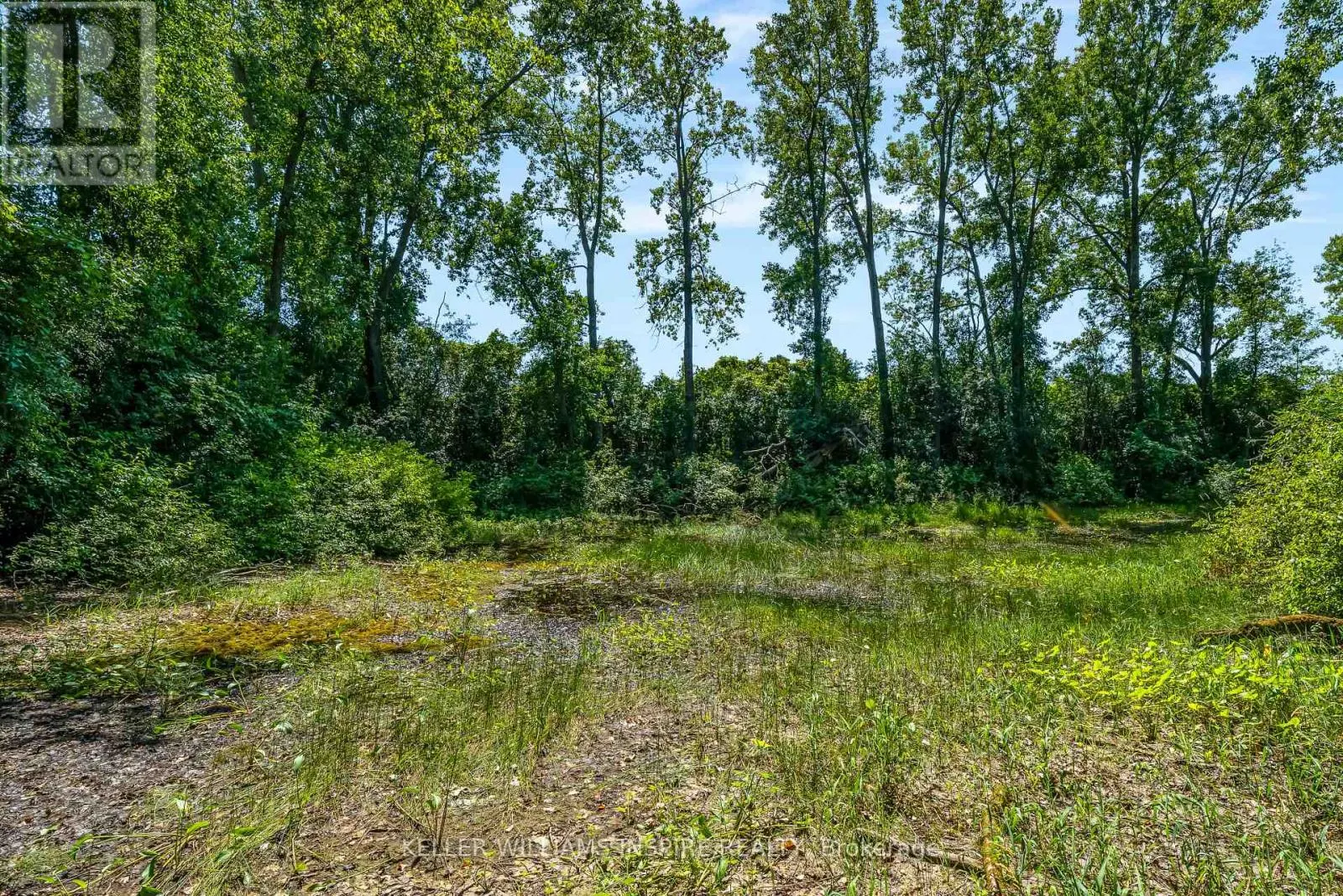 00 LOYALIST PARKWAY