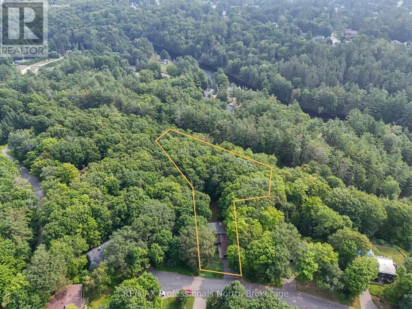 64 WOODLAND DRIVE