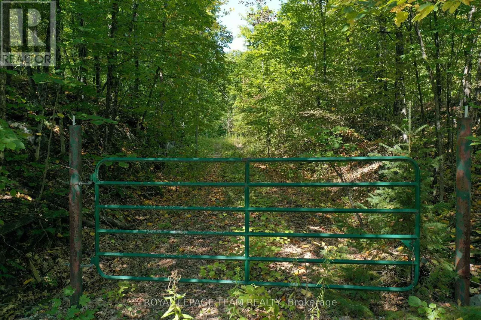 00 MAPLE LANE
