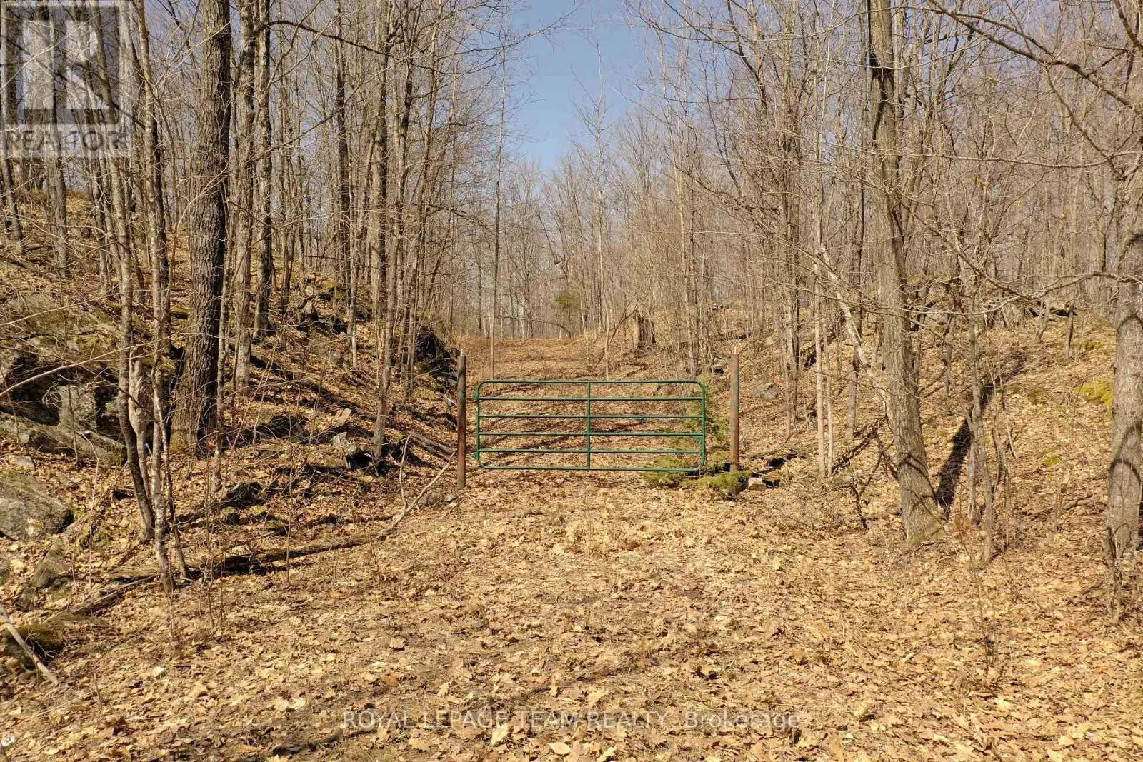 00 MAPLE LANE