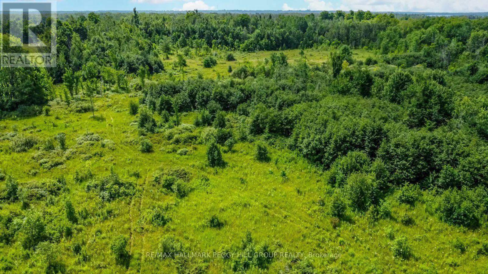 LOT 5 CONCESSION 5