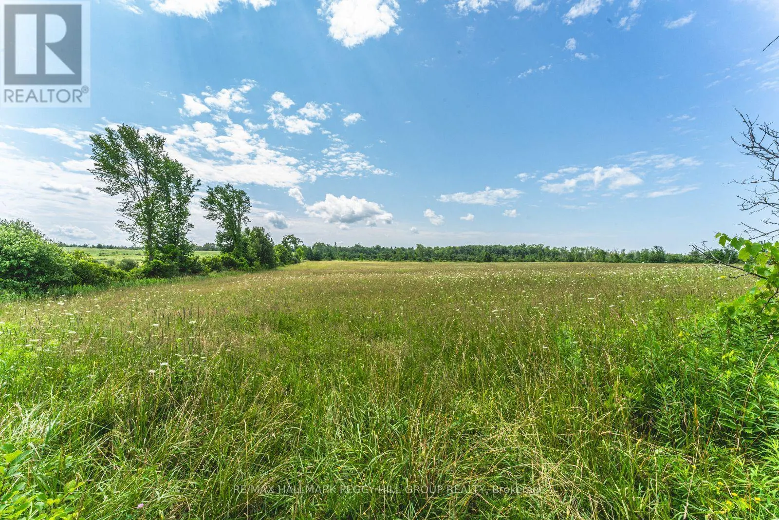 LOT 5 CONCESSION 5