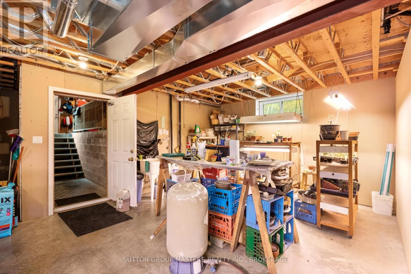 1023 BIG BEN LANE