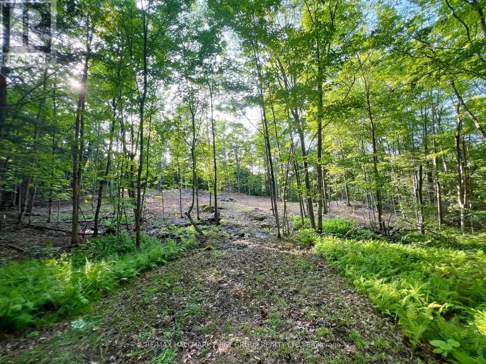 678 CENTREVIEW ROAD