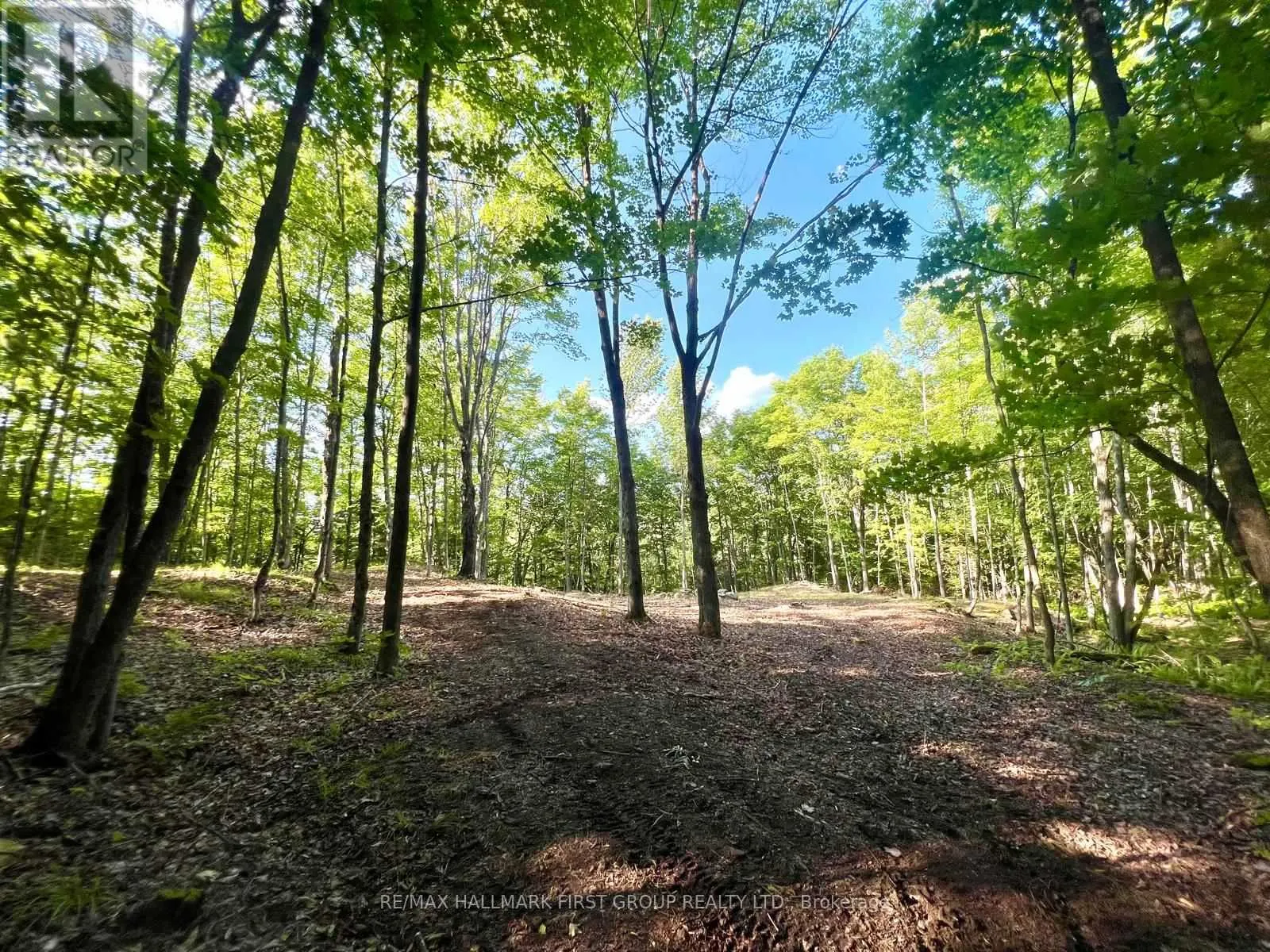 678 CENTREVIEW ROAD
