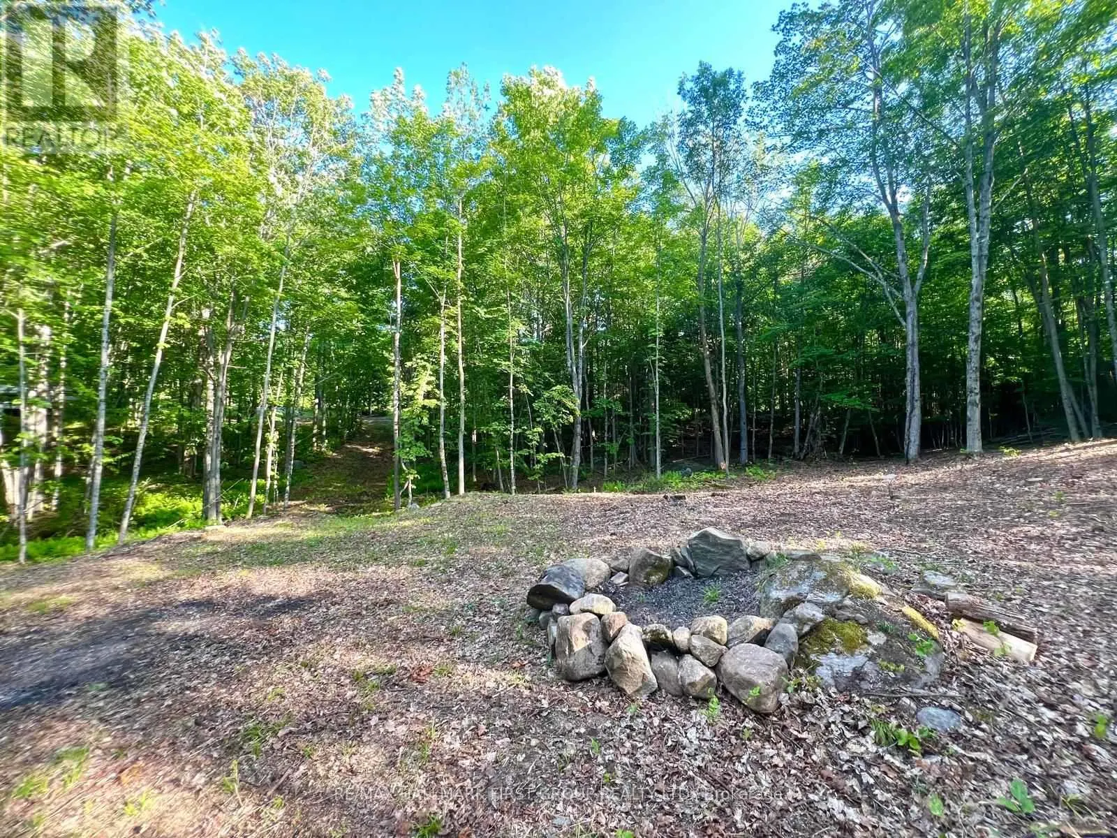 678 CENTREVIEW ROAD
