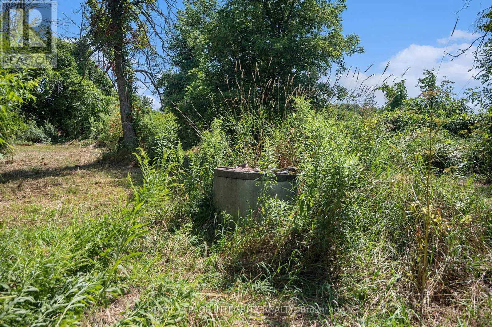 3796 COUNTY 12 ROAD