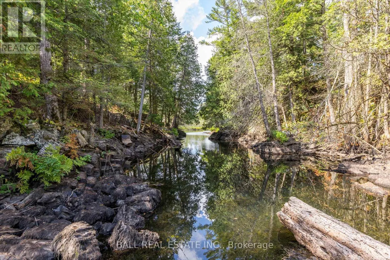 2476 COUNTY RD 46