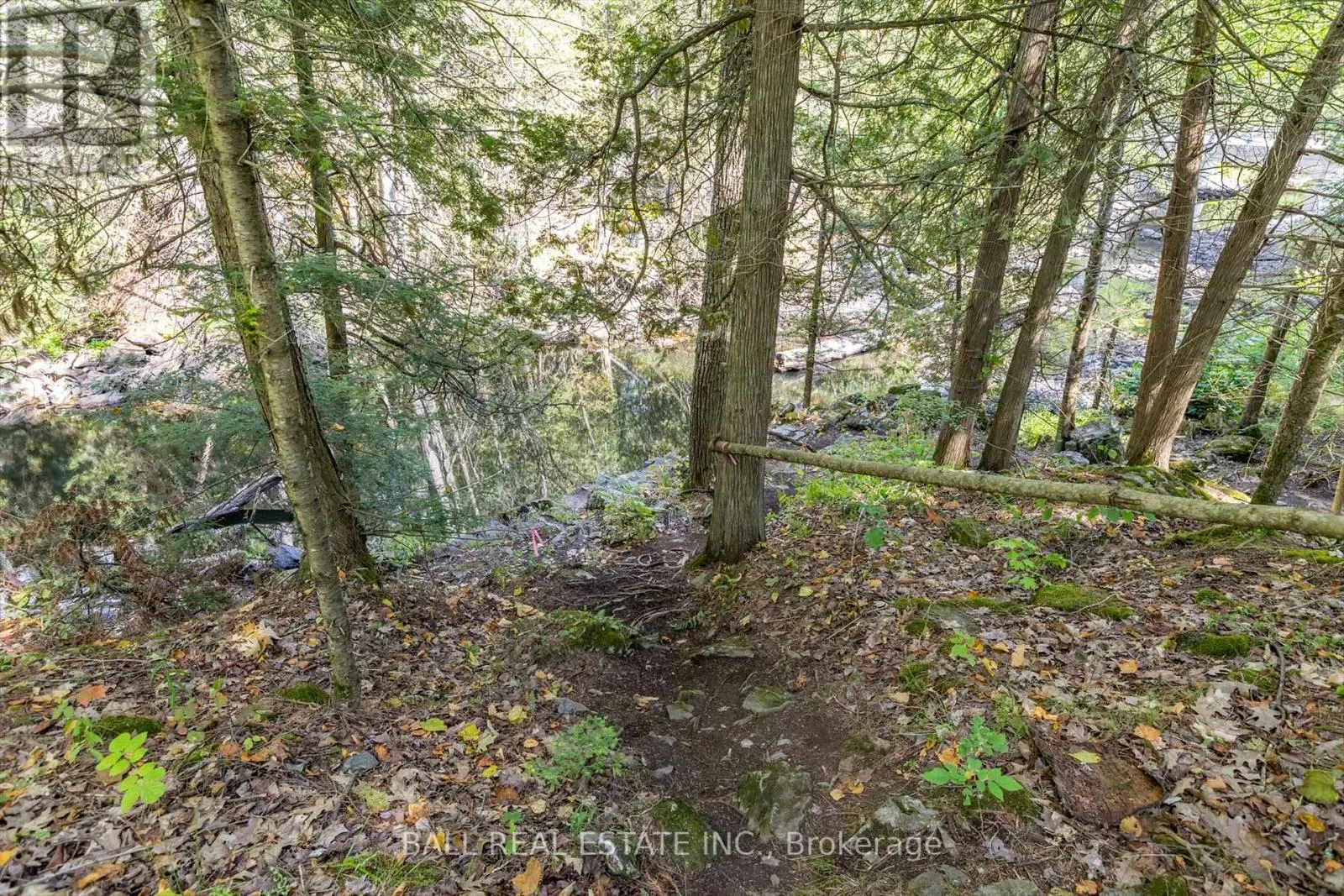 2476 COUNTY RD 46