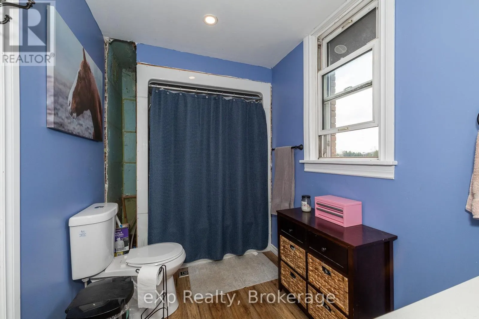223 CONCESSION 10E