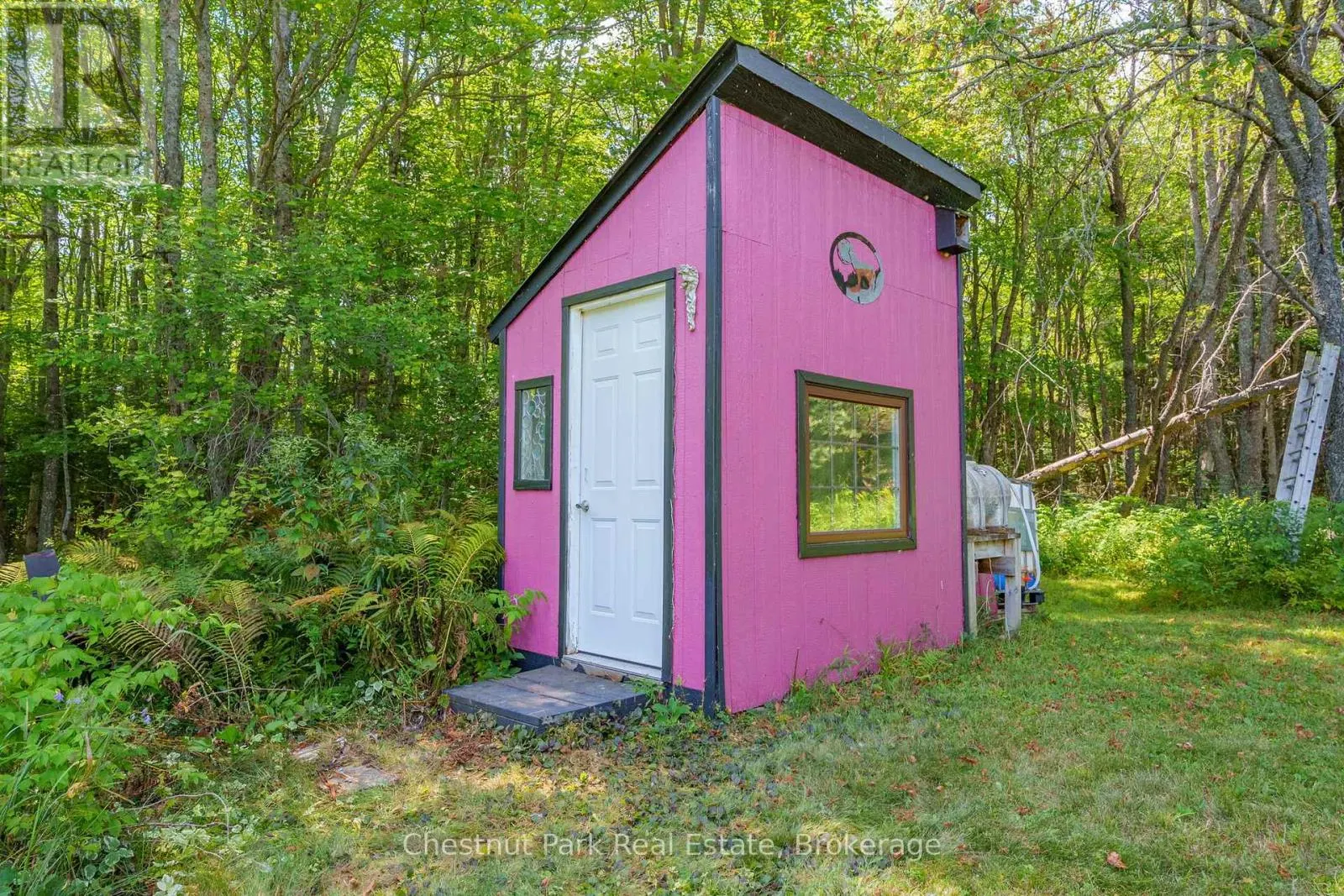 2784 AXE LAKE ROAD
