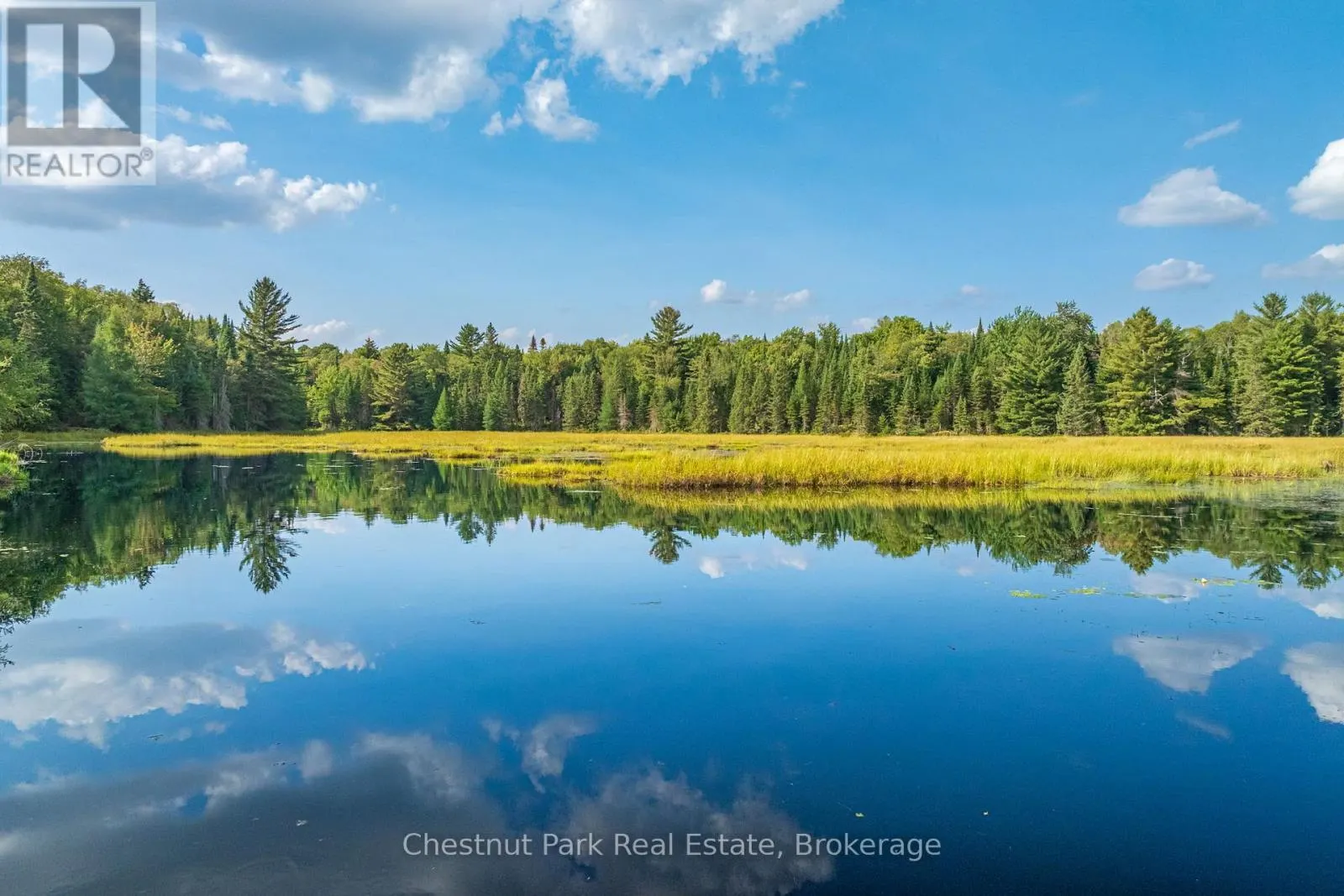 2784 AXE LAKE ROAD