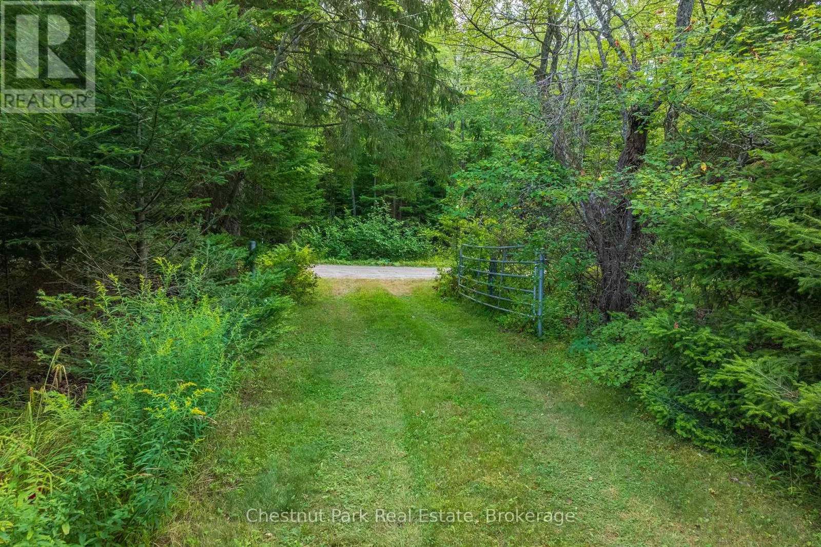 2784 AXE LAKE ROAD