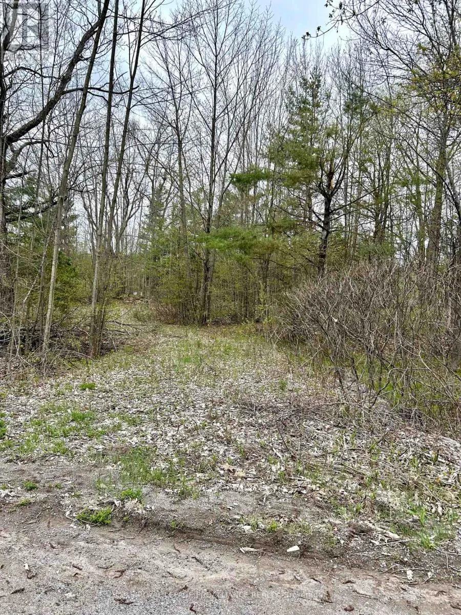 31 GLEN RIDGE ROAD