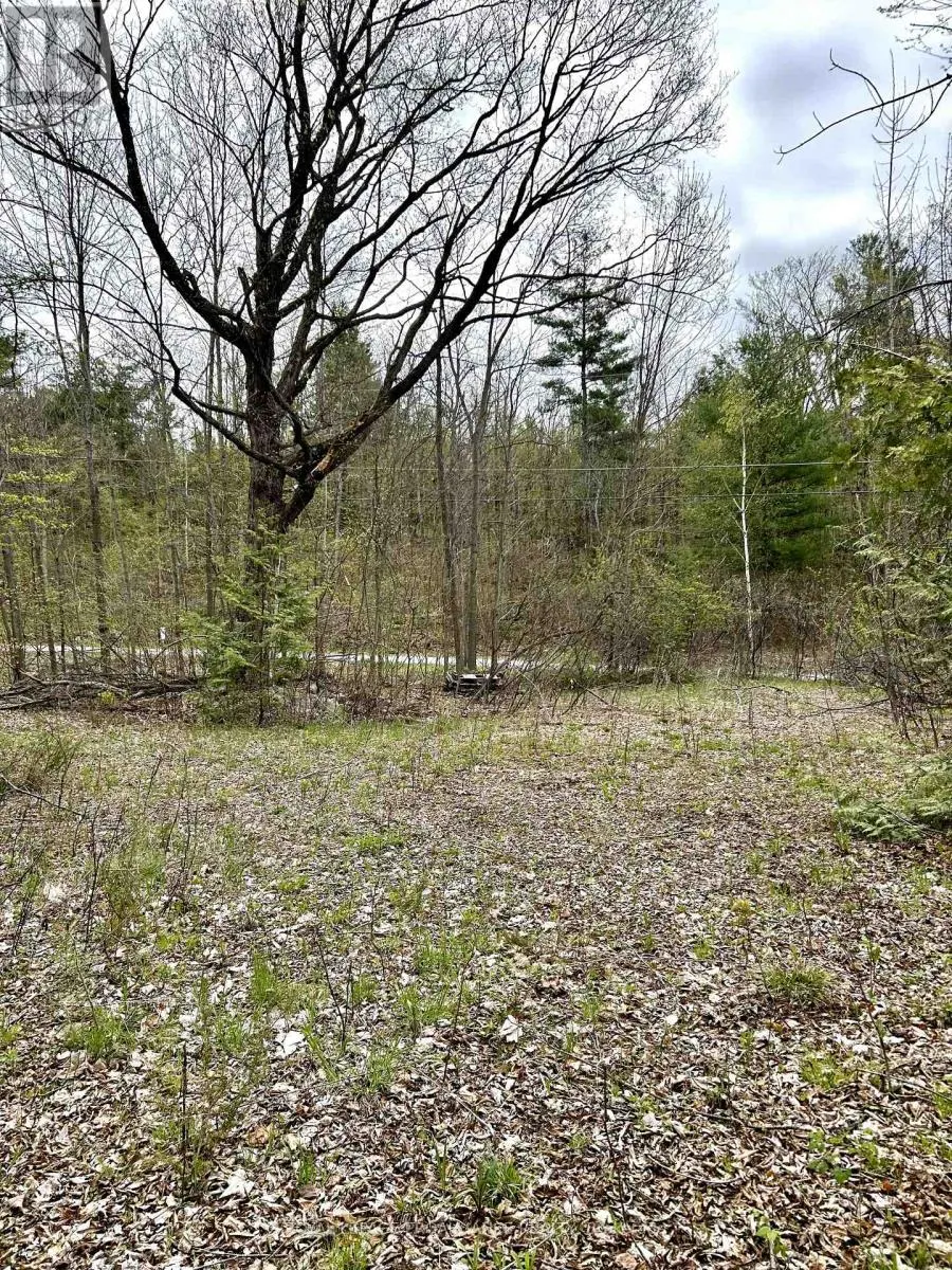 31 GLEN RIDGE ROAD