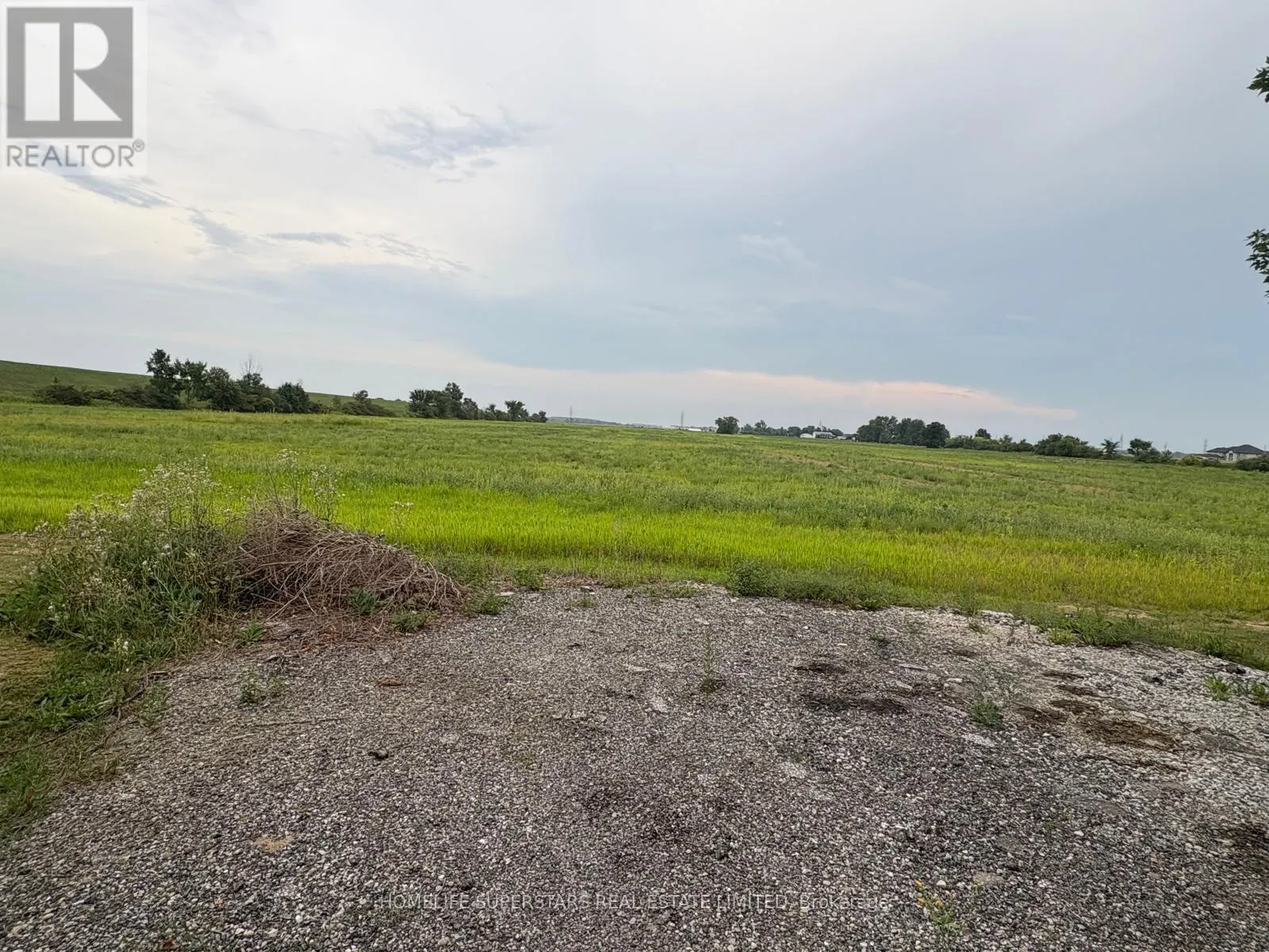241 COUNTY RD  42