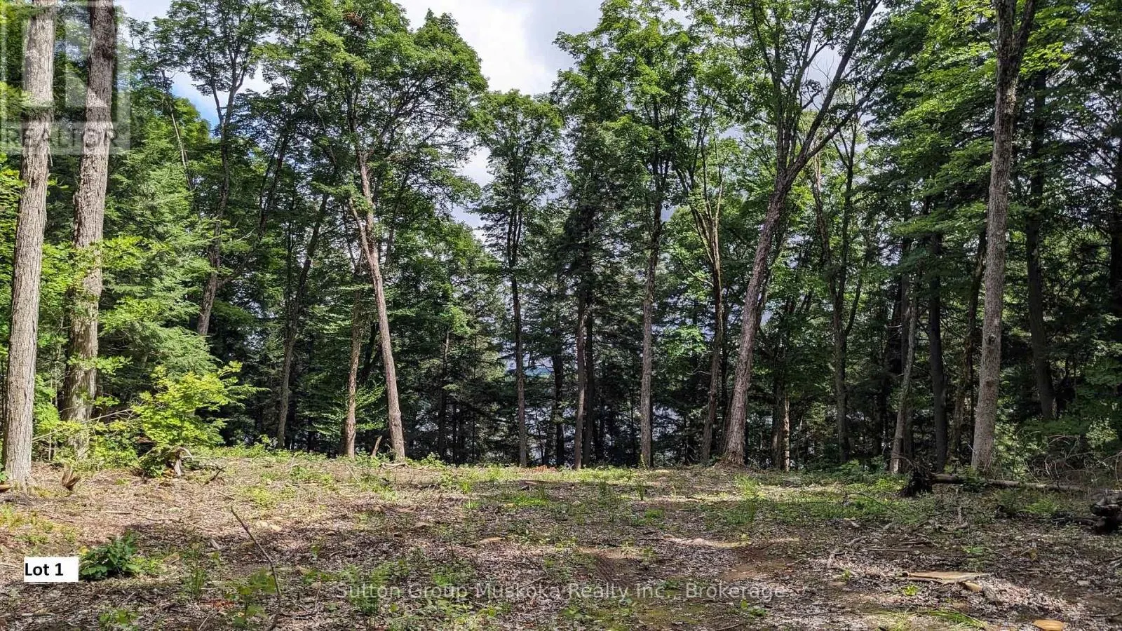LOT 1 ESIG LANE