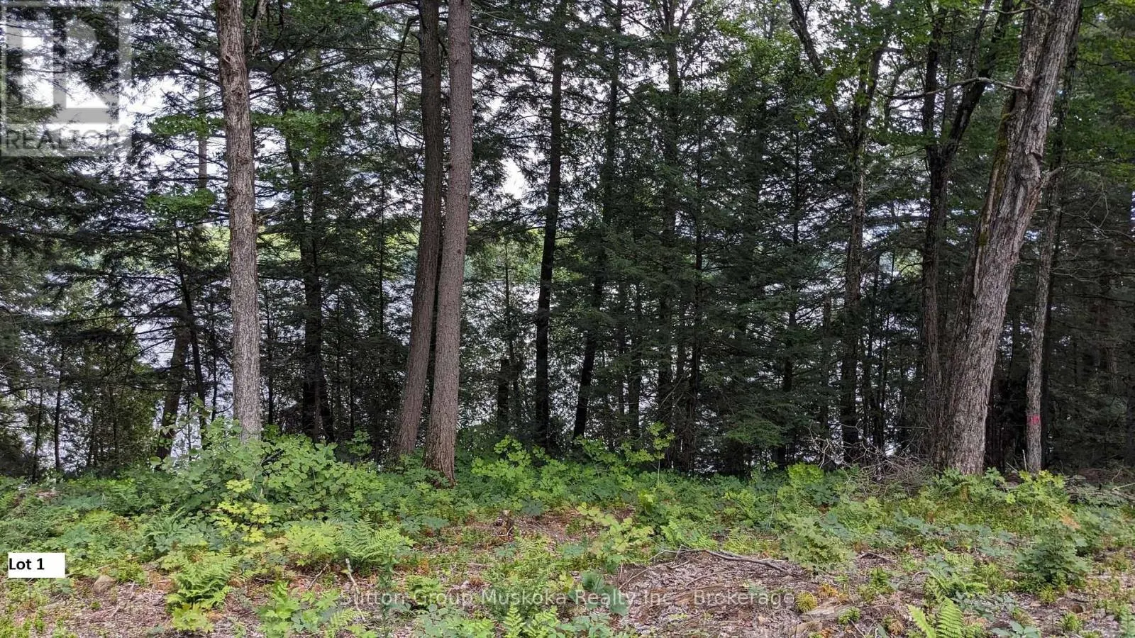 LOT 1 ESIG LANE