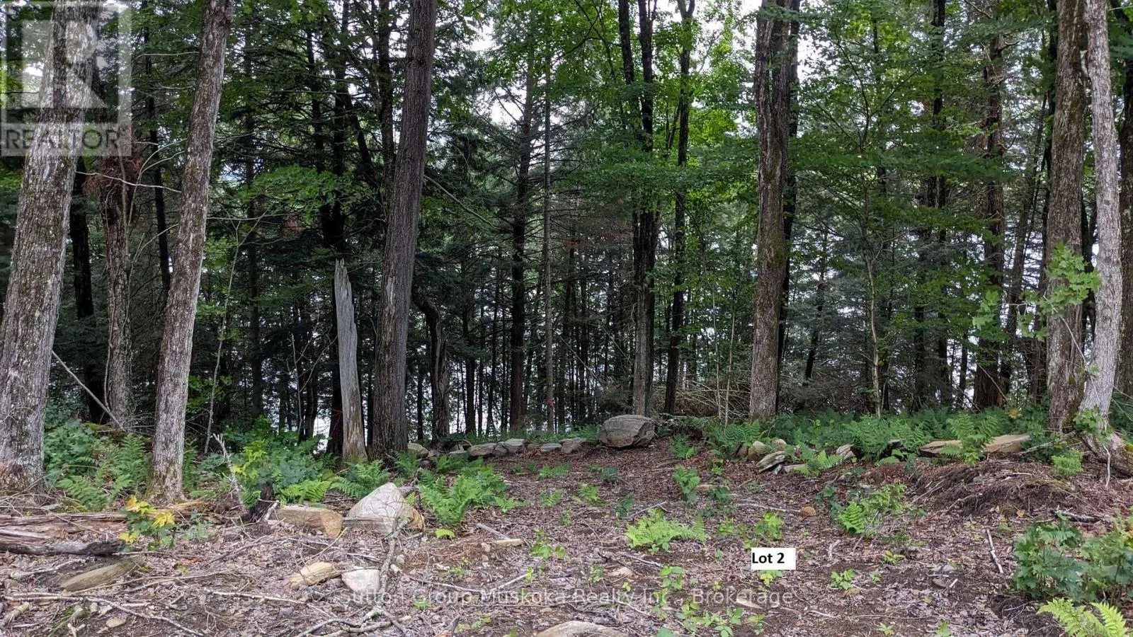 LOT 2 ESIG LANE