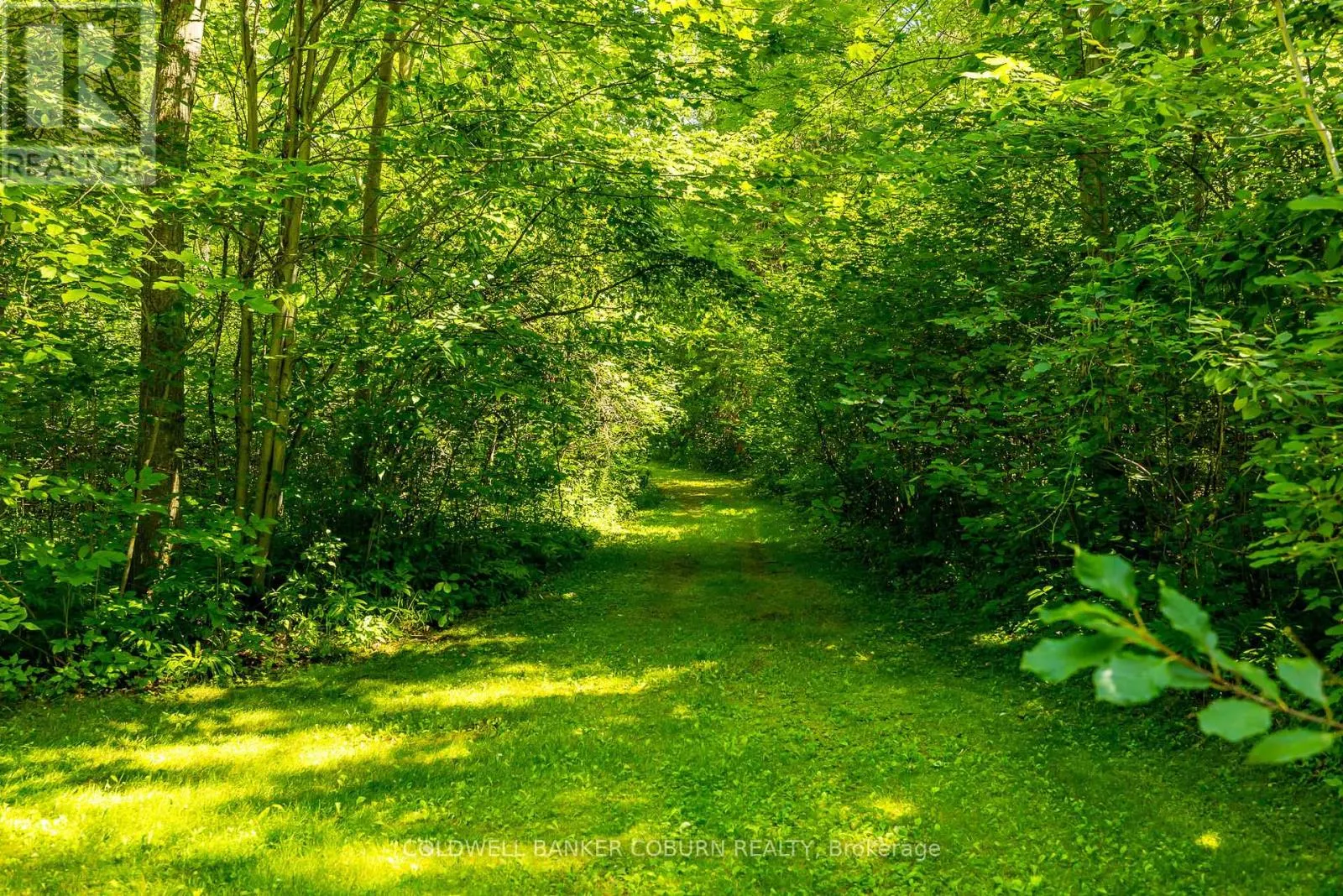 2482 MCGEE SIDE ROAD
