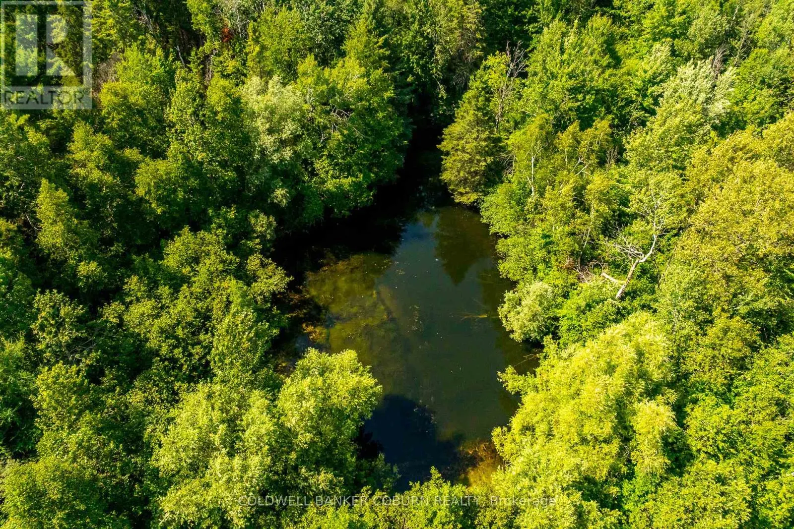 2482 MCGEE SIDE ROAD