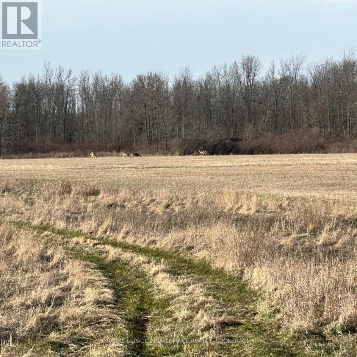 68 3RD CONCESSION ROAD