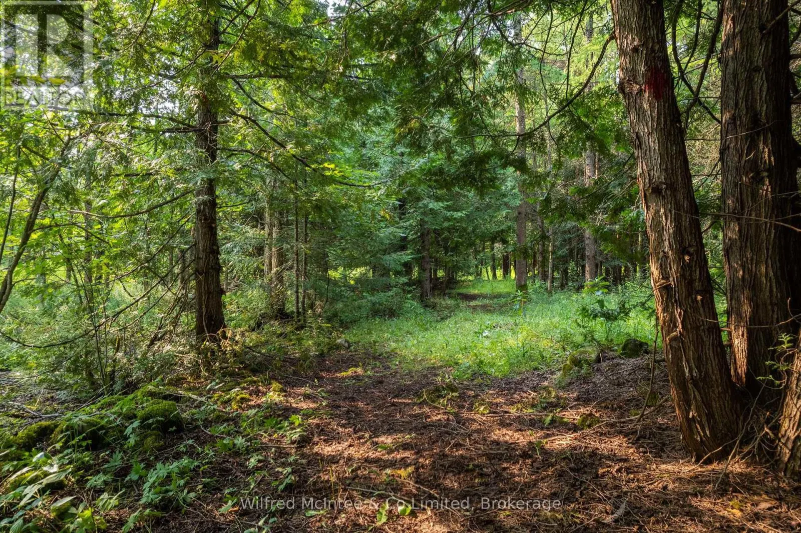 574461 SIDEROAD 40