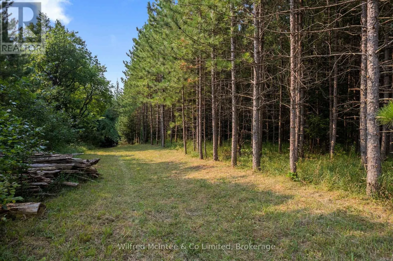 574461 SIDEROAD 40