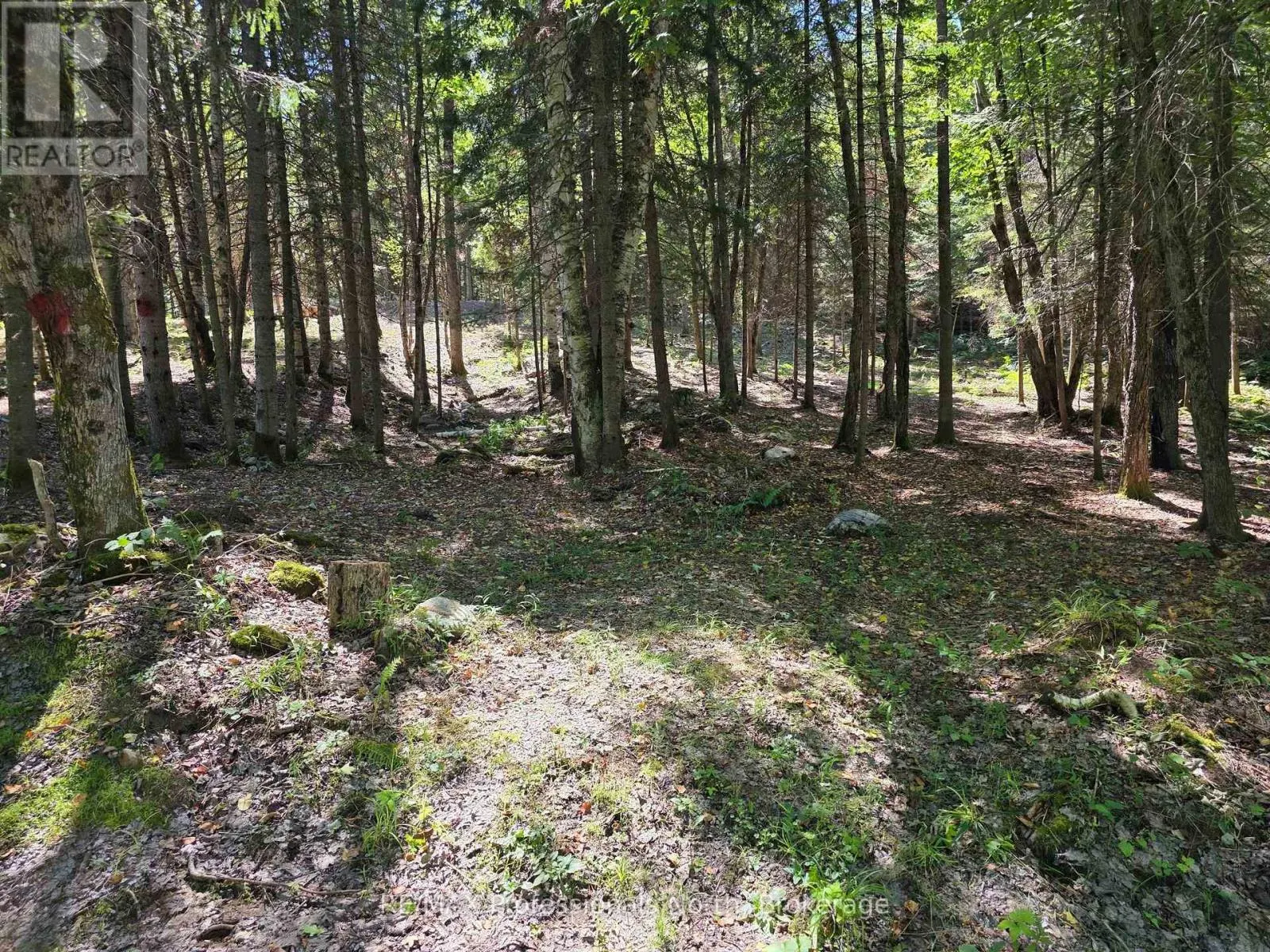 00 WHITNEY ROAD