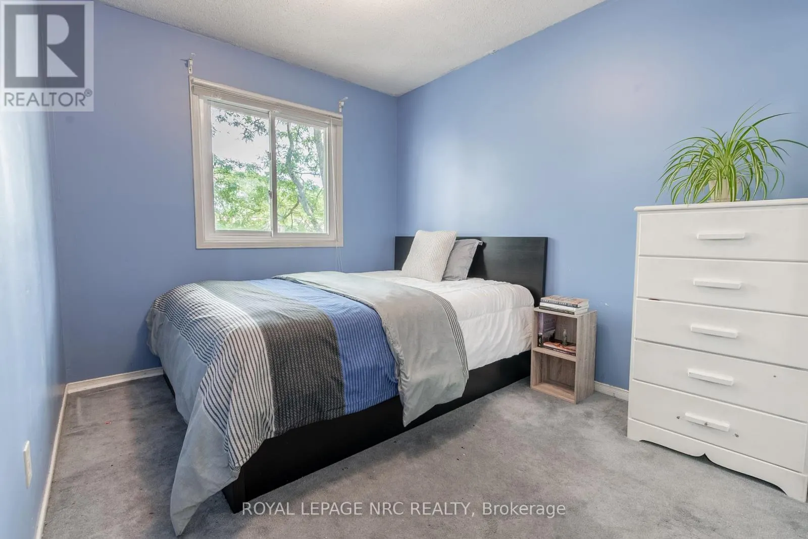 4 - 38 ELMA STREET, #4