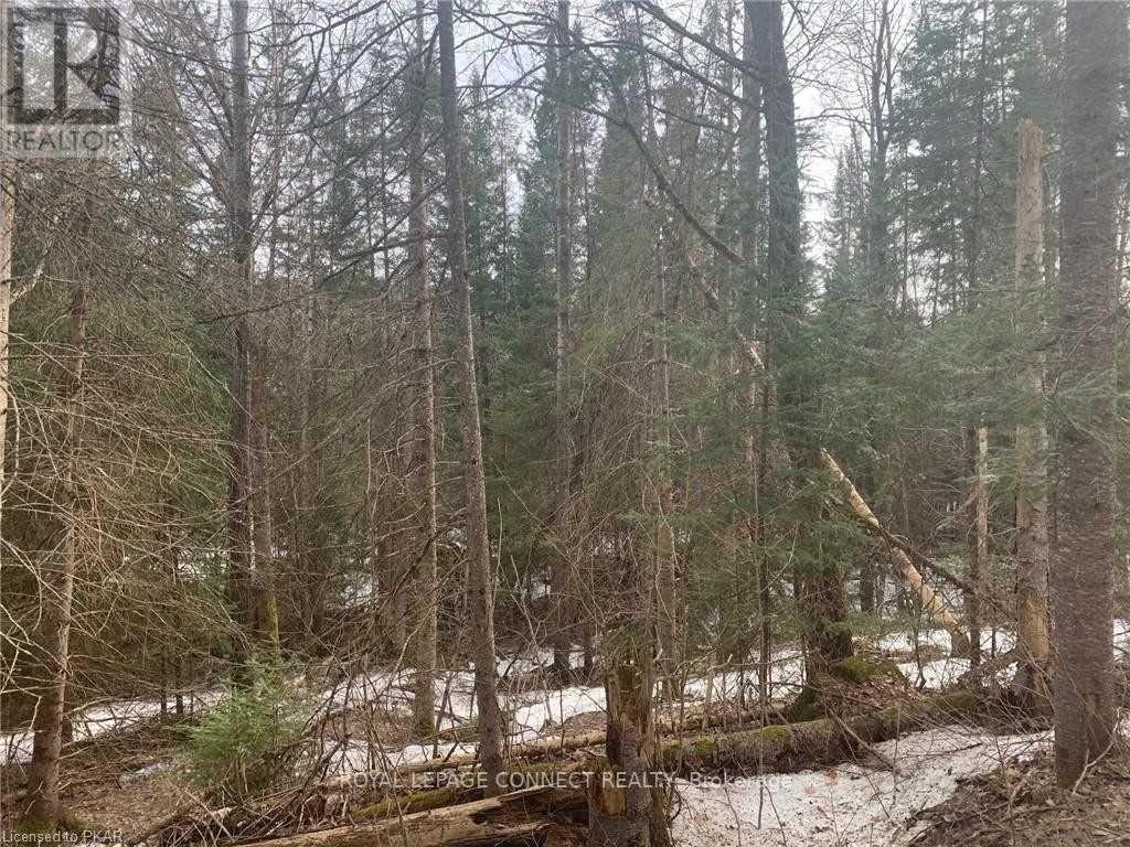 Listing X5526806 - Large Photo # 2
