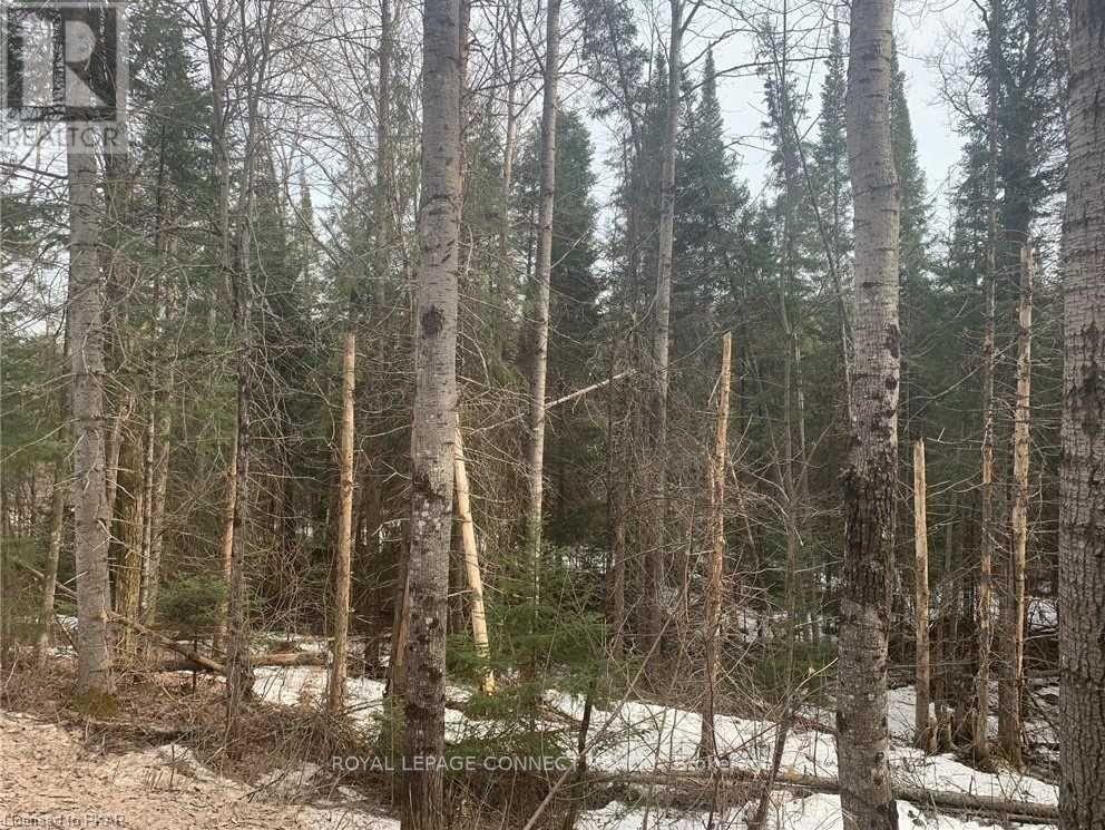 Listing X5526806 - Large Photo # 3